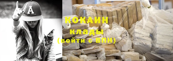 шишки Абаза