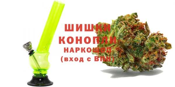 шишки Абаза