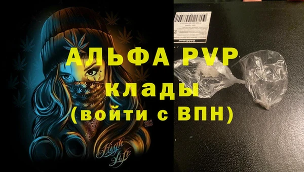 шишки Абаза