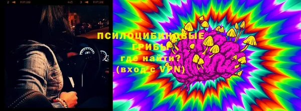 стафф Абинск