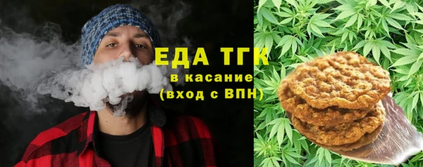 шишки Абаза