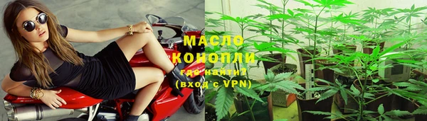 гашик Козловка