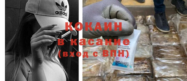 шишки Абаза