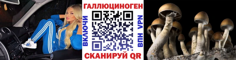 Псилоцибиновые грибы Cubensis Белоозёрский